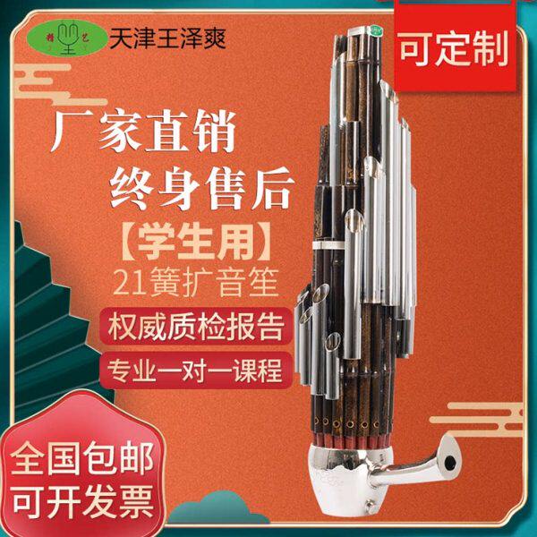 精艺王泽爽笙乐器21簧扩音笙学生用笙初学者用笙乐队用笙儿童用笙