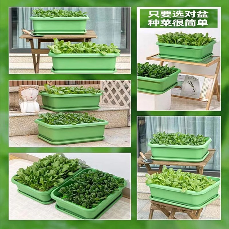阳台种菜盆加厚长方形塑料盆家庭蔬菜种植盆种菜神器大号耐用花盆