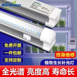 组培灯植物生长补光灯T8全光谱蔬菜绿植育苗led灯 多肉上色防徒长