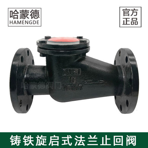 H44T-16旋启式止回阀 铸铁铜芯法兰止回阀DN40 50 80 100 150 200