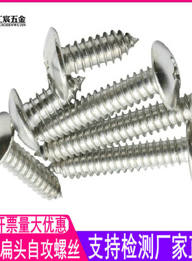 螺丝自攻小螺钉304不锈钢圆头大伞头大扁头十字锣钉自攻m3.9