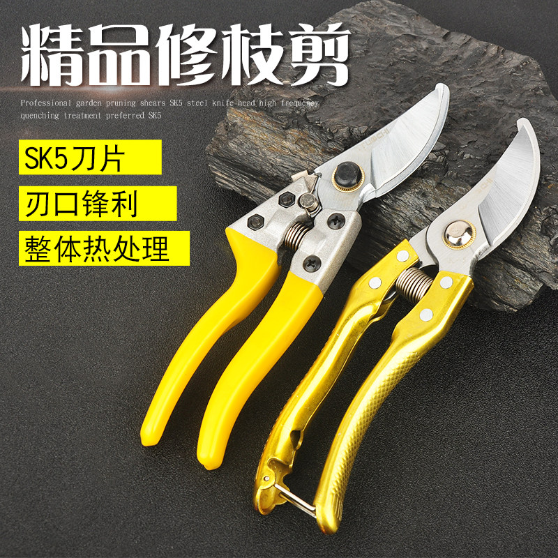 修枝剪刀剪枝果树剪子花剪园艺果树园林花艺修剪强力神器树枝剪刀