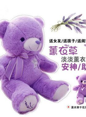 薰衣草香薰紫色大抱熊 小熊公仔毛绒玩具泰迪熊娃娃女生礼物 包邮