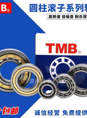 天马TMB圆柱滚子轴承N NU NJ204 205 206 207 208 209 E EM
