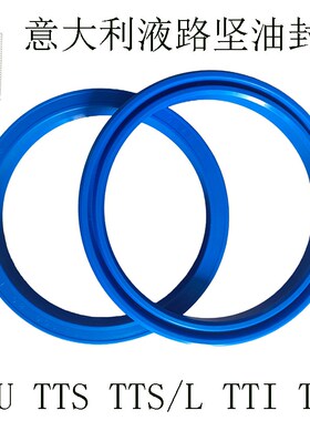 意大利TTU液路坚油封250*230*12液压油缸封 330*300*18进口密封圈