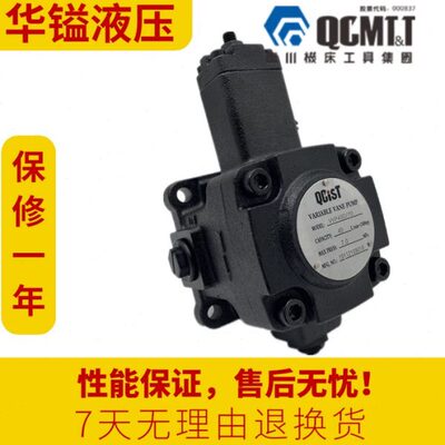 QCIST秦川奇斯特VVP40B/70 VVP20D/55 VVP30A/35 15C/20叶片油泵
