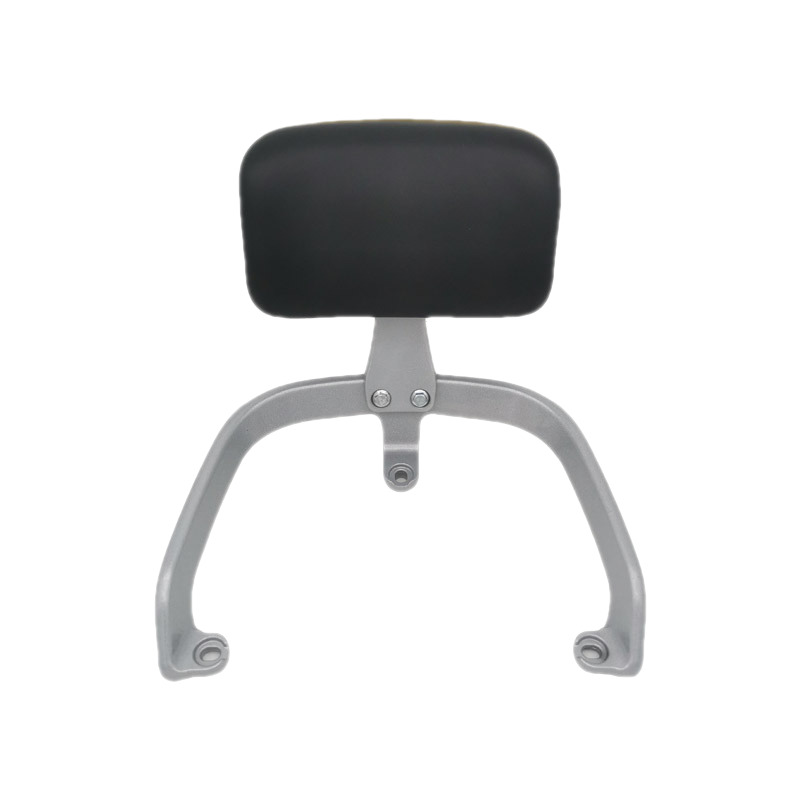 台铃电动车小狮子EB后靠背超智版可川E6后靠垫广环Q1后座尾翼扶手