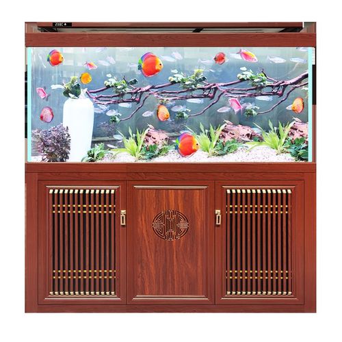 鱼缸客厅2023新款森红龙缸底过滤森轻奢至臻鱼缸客厅大型家用屏风