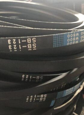 潍柴雷沃谷神RG50 60水稻收割机配件 蛟龙进口坂东SB123