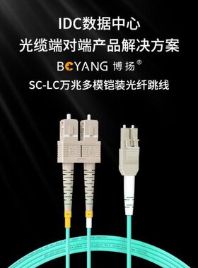 博扬 OM3万兆铠装光纤跳线LC-SC 50米 多模尾纤 一管双芯Uniboot