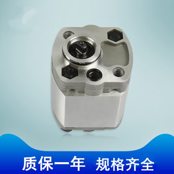 CBK-F2.5  CBK-F2.6微型齿轮油泵排量小压力高左转前进后出联轴器