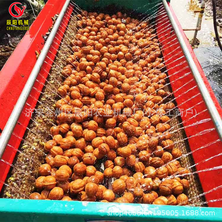 电动大小青皮核桃去皮清洗机酒泉热销核桃扒皮清洗一体机380/220v