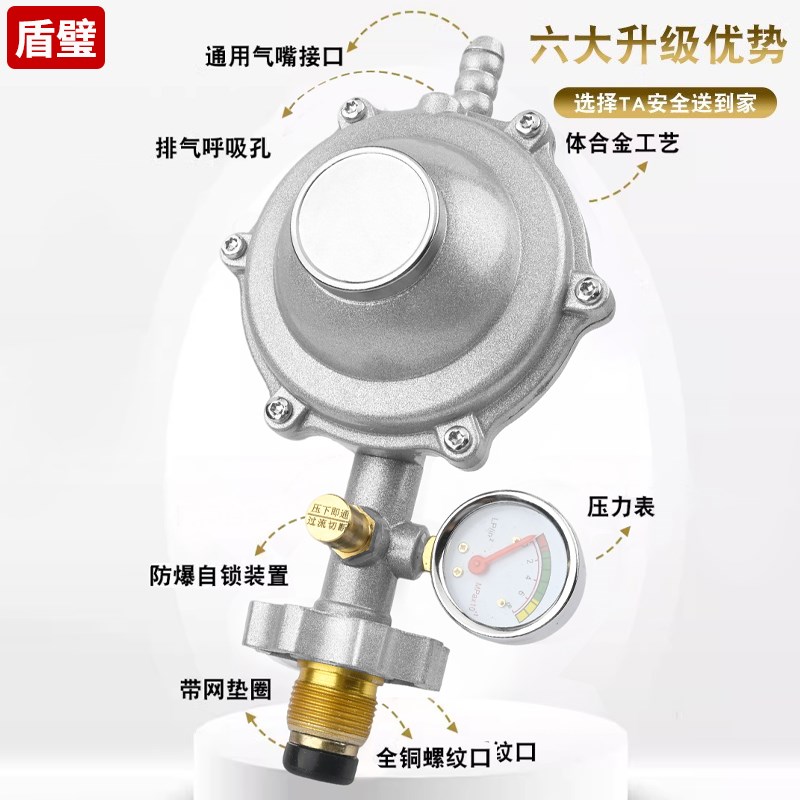 防爆减压阀液化气安全关闭阀低压阀燃气煤气阀新国标家用排气单向