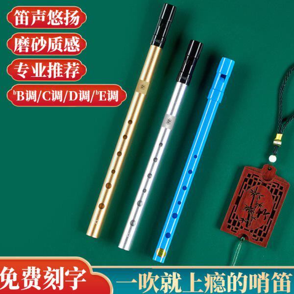 爱尔兰哨笛竖笛6孔C调D调笛子降B合金款金属哨笛入门专业竖吹笛子