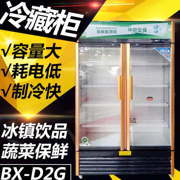 小鹰 双门立式冷藏柜 啤酒饮料汽水制冷柜 蔬菜保鲜柜 600L