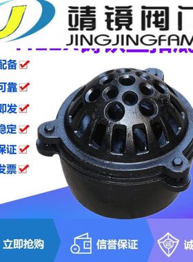 H12X-2.5铸铁丝扣底阀DN20-100水泵吸水阀升降式莲蓬头向止回阀