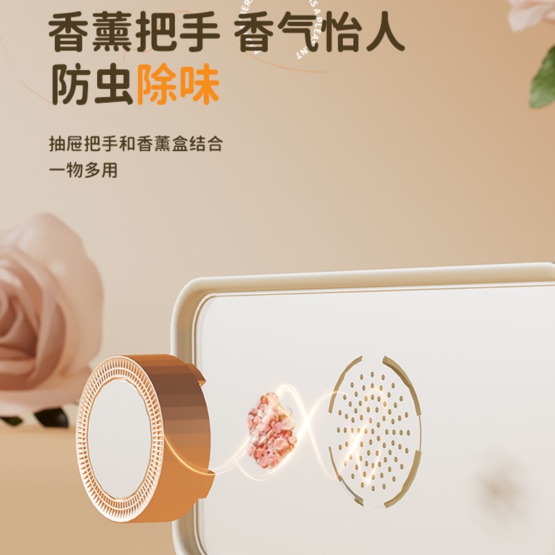 内衣收纳盒贴身衣物收纳神器新款家用内裤袜子分格抽屉式整理盒子