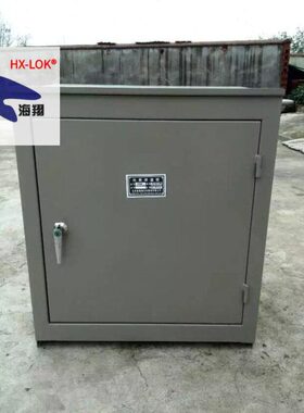 碳钢仪表箱  热轧板仪表保护箱  电加热蒸汽伴热保护箱  YXW-654A