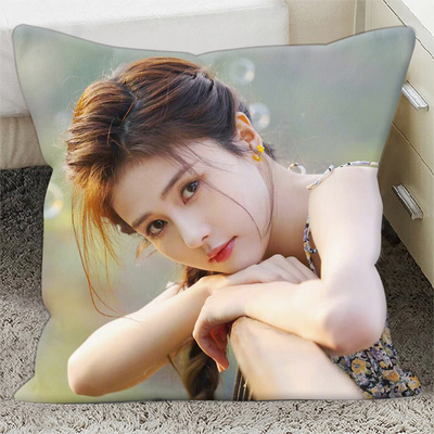 白鹿抱枕a双面图定制周边人形玩偶公仔学生办公室靠枕腰枕生日礼