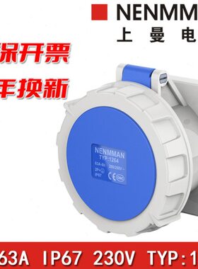 24上 电气MME插IP64插座防水N12N11面板直286工业曼11A763A暗装N