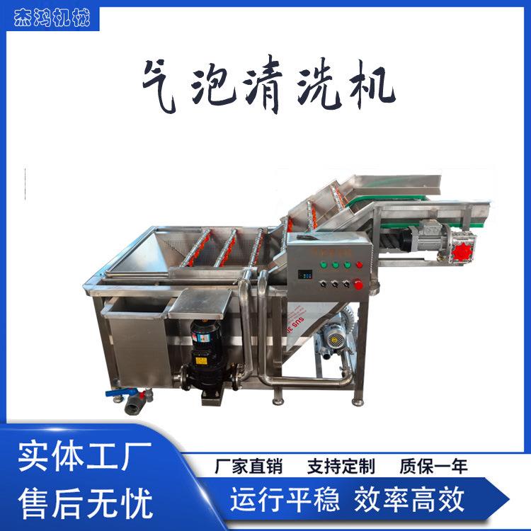 小型果蔬气泡清洗机药材清洗线高压冲洗设备翻浪式洗菜池
