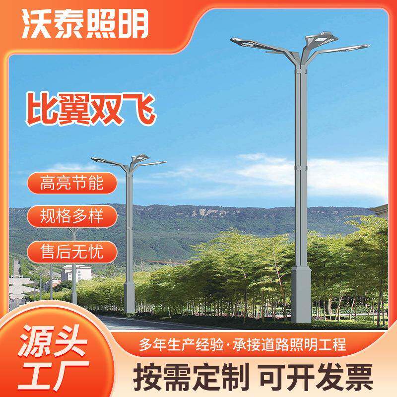 6-12米led多头路灯市政道路照明灯户外防水LED路灯景观灯