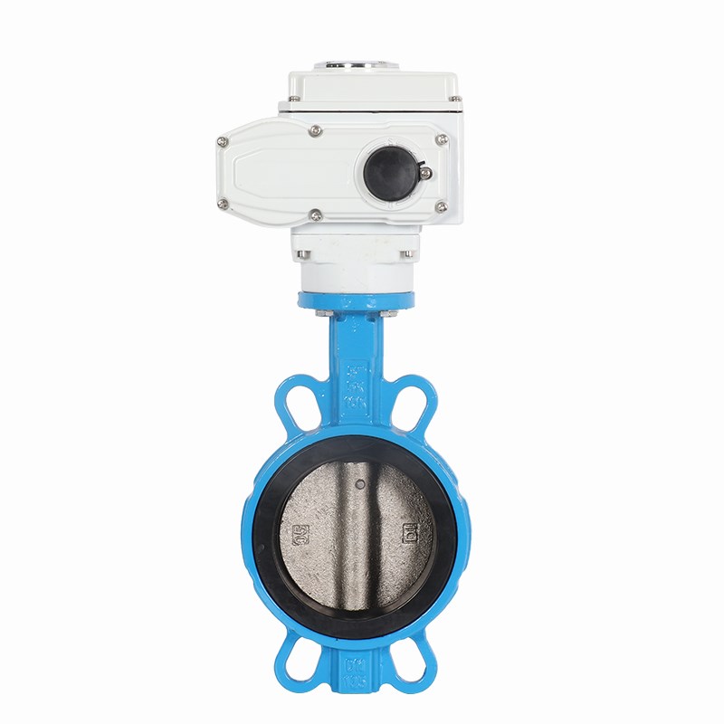 电动对夹蝶阀D971X-16Q农业灌溉调节阀环保水处理开关阀DN50 100