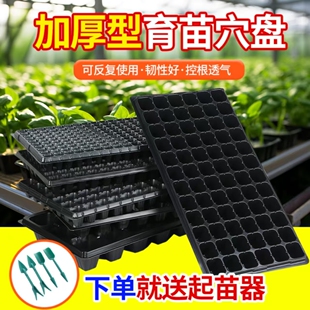 育苗穴盘加厚扦插育苗神器蔬菜花卉多肉玉米基质盘 1000收藏