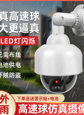 吓贼 高速球型仿真摄像头监控器假摄像机模型假监控探头 带灯防雨