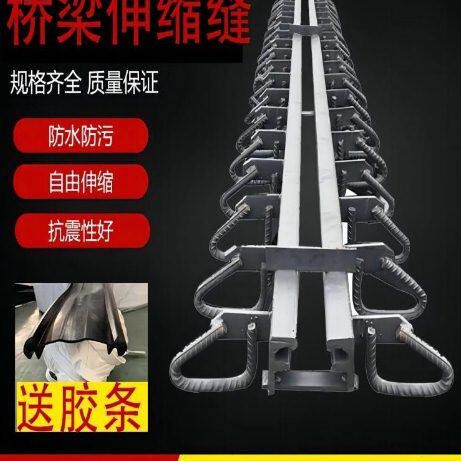 桥梁伸缩缝公路桥梁伸缩缝梳齿板送胶条橡胶支座
