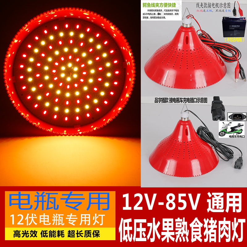 12v LED灯泡低压生鲜熟食水果猪肉灯48v夜市灯摆地摊灯led电瓶灯