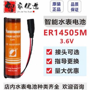 武汉盛帆预付费IC插卡智能水表电池ER14505M3.6V黑色圆头家用通用