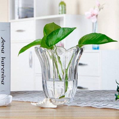 风信子水培绿萝白掌植物花瓶玻璃加厚透明容器创意家用简约小摆件