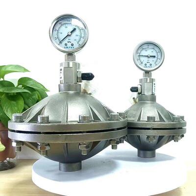 适用304不锈钢/PVDF膜片式脉冲阻尼器316脉动缓冲器DN15/20气囊阻