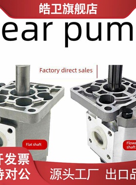 适用液压高压齿轮泵CBN-G532/550油泵总成油压泵CBT-G563/580配件