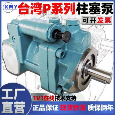 适用旭宏柱塞泵P16-C1-A3/A1/A2/4-F-R-01柱塞泵P08 P22 P36 P46