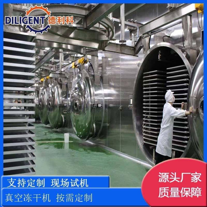 南瓜饼真空冷冻干燥机金桔低温真空冻干机银耳蔬菜粥真空冻干机