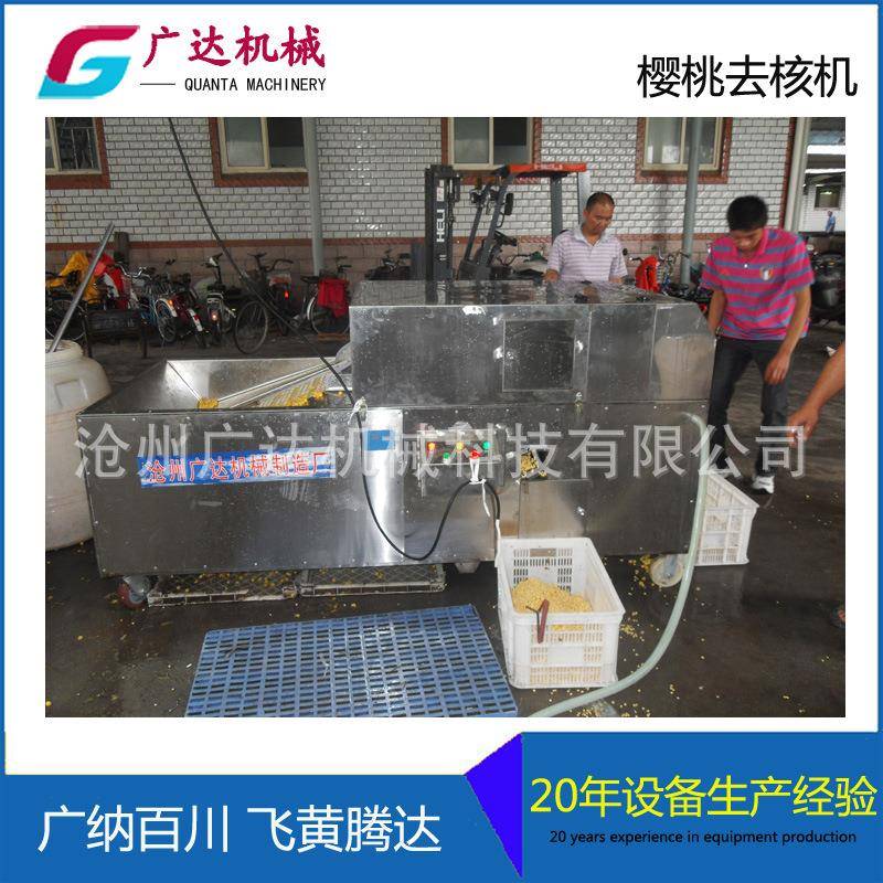 樱桃去核机不锈钢樱桃去核设备樱桃加工机械厂家直销