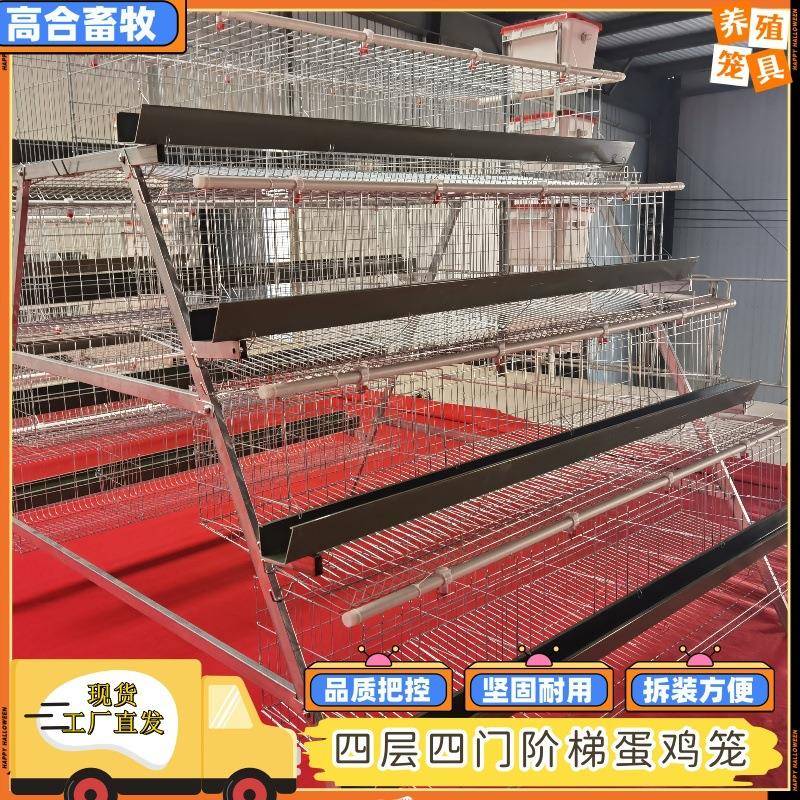 多层蛋鸡笼热镀锌丝材质阶梯层叠式养殖鸡窝设备A型简易式鸡舍笼