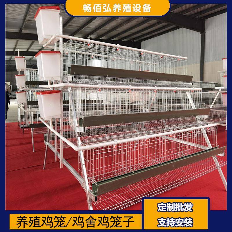 3层5门阶梯蛋鸡笼养殖厂工厂阶梯型A型鸡笼热镀锌可供外贸