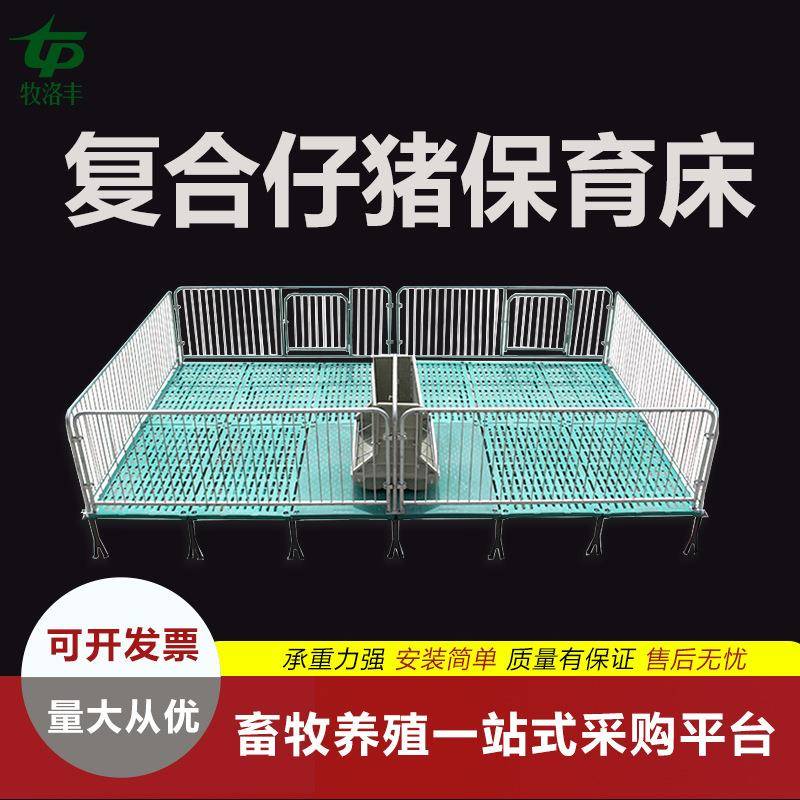 猪用保育床猪仔复合保育床兽用铸铁腿热镀锌国标2.5加厚
