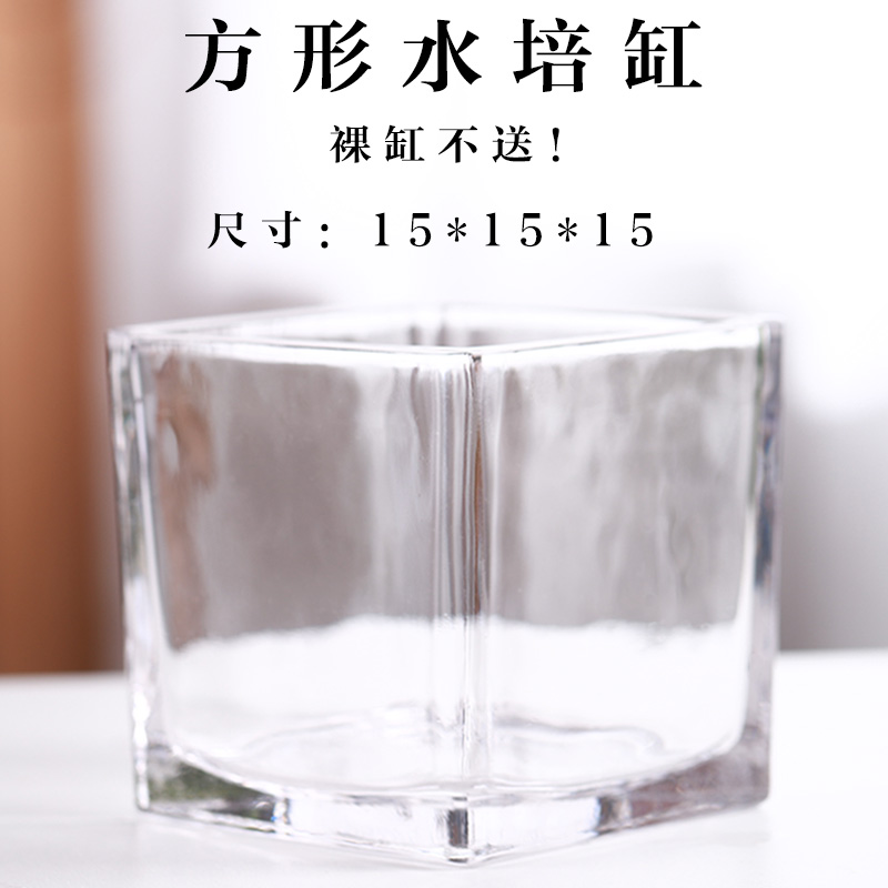 简约加厚正方形玻璃水培桌v面绿植透明方缸绿萝铜钱草花盆白色花