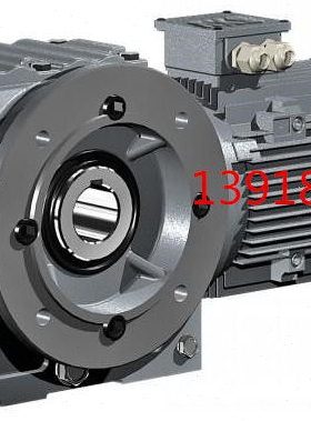 DLKAF01电机DLKAF04伞齿轮箱DLKAF02马达DLKAF03 05减速器减速机