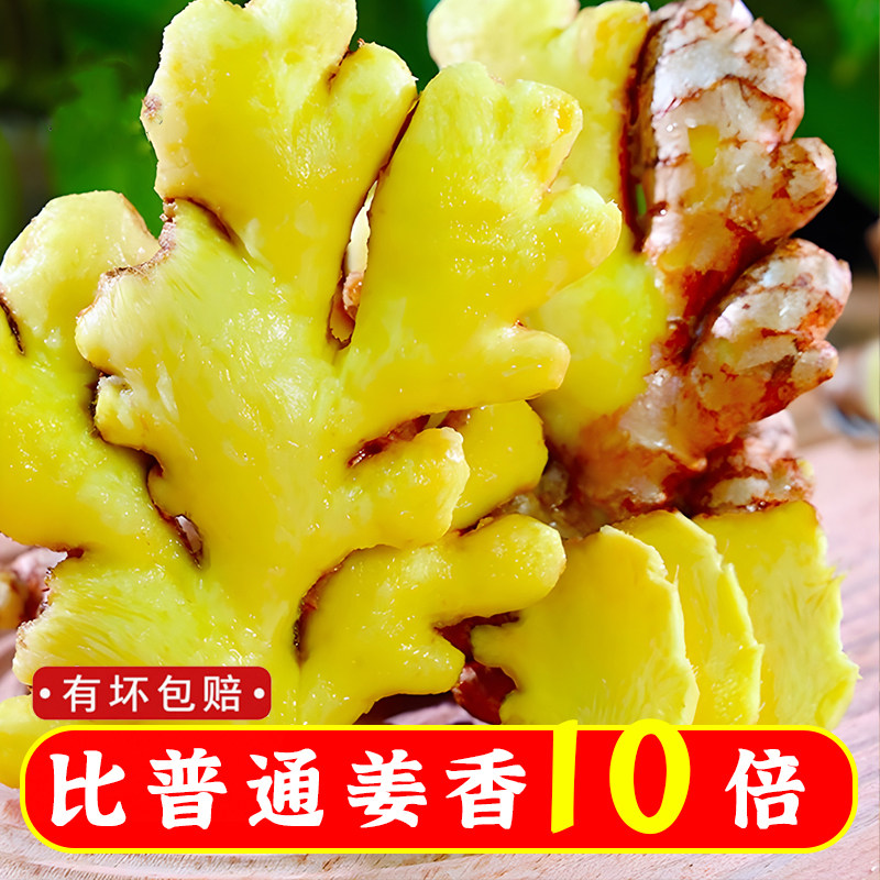 正宗云南小黄姜老姜新鲜姜罗平