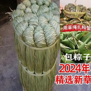 大闸蟹香草 咸水草 捆蟹绳香草马莲草 扎粽子香草 绑大闸蟹香草