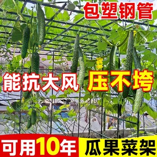 黄瓜爬藤架子支撑杆新q型花架植物种蔬菜丝瓜葡萄西瓜蔷薇阳台庭