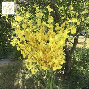 仿真跳舞兰摆放家居装饰客厅卧室桌面摆件花瓶黄色绢花文心兰