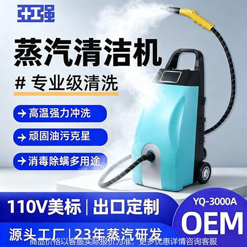 即热温压蒸汽清洁机商用空调油烟机多功能专业清洗设备 110V