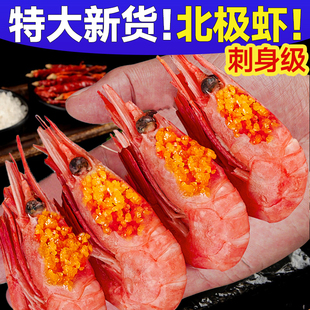 生吃甜虾刺身级格陵兰北极甜虾即食冻虾俄罗斯新鲜日料牡丹虾鲜活