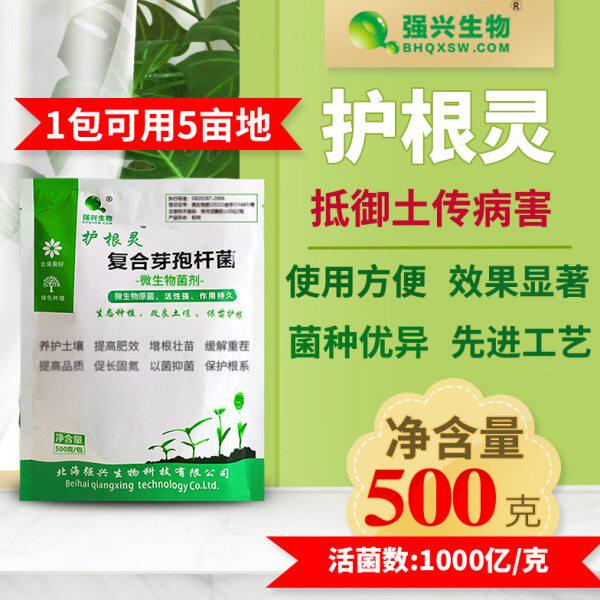 护根灵复合芽孢杆菌根腐烂根枯萎姜瘟蔓枯农业种植功能菌种